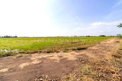 ที่ดิน พระนครศรีอยุธยา : ขายที่ดินเปล่า (ปัจจุบันเป็นที่นา) เนื้อที่ 20 ไร่ ทรงสวยสี่เหลี่ยม ต.วังพัฒนา อ.บางซ้าย จ.พระนครศรีอยุธยา