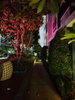 listing thumbnail image 21