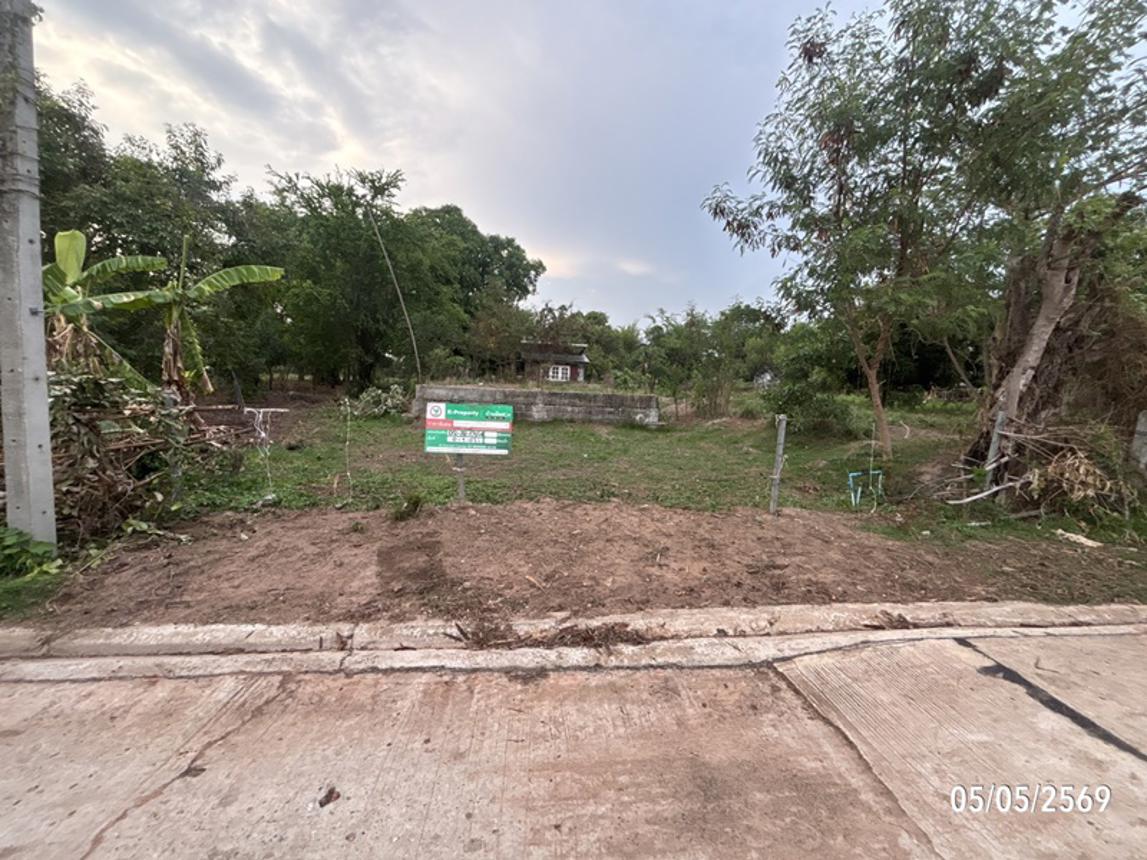 รูป บ้านเดี่ยว 100 ตร.วา ประทาย นครราชสีมา 268,000 - รูปที่ 19/25