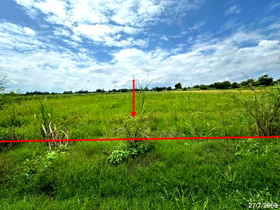 ที่ดิน ม.พิษณุโลก : ที่ดินว่างเปล่า 2520 ตร.วา วังทอง พิษณุโลก 1.4M