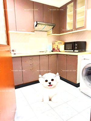 คอนโดให้เช่า : 2Bed Pet-Friendly Condo for Rent Sukhumvit Central Bangkok✨Wireless, Near BTS Ploenchit, MRT Petchaburi🔰 We can show all available units here
