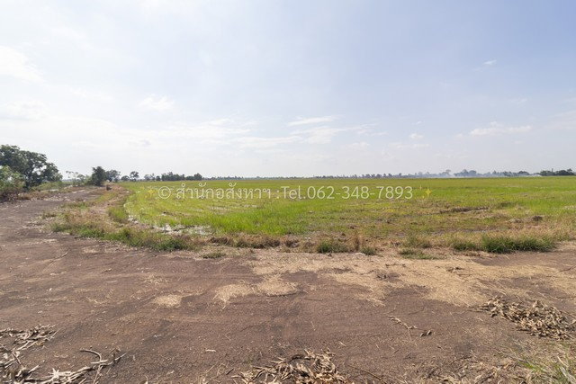 รูป ขายที่ดินเปล่า (ปัจจุบันเป็นที่นา) เนื้อที่ 20 ไร่ ทรงสวยสี่เหลี่ยม ต.วังพัฒนา อ.บางซ้าย จ.พระนครศรีอยุธยา - รูปที่ 4/8
