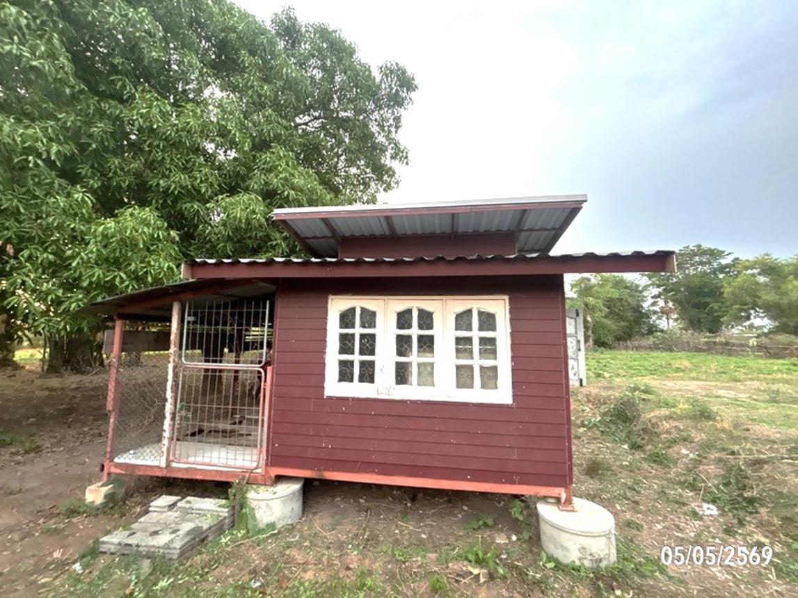 รูป บ้านเดี่ยว 100 ตร.วา ประทาย นครราชสีมา 268,000 - รูปที่ 13/25