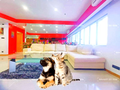 คอนโดให้เช่า : 2Bed Pet Friendly Condo for Rent Sukhumvit Central Bangkok✨Wireless, Near BTS Ploenchit, MRT Petchaburi🔰 We can show all available units here