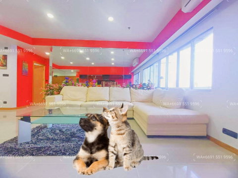 2Bed Pet Friendly Condo for Rent Sukhumvit Central Bangkok✨Wireless, Near BTS Ploenchit, MRT Petchaburi🔰 We can show all available units here