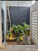 listing thumbnail image 48
