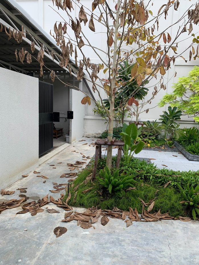รูป ขาย บ้านเดี่ยว150ตรว. บ้านสวยน่าอยู่ สิ่งแวดล้อมดี ซอยสังคมสงเคราะห์ 12 ทำเลสะดวก พื้นที่ใช้สอยเยอะ - รูปที่ 19/21