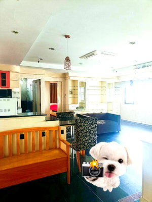 คอนโดให้เช่า : Pet-Friendly Apartment Rental Sukhumvit Central Bangkok✨Near BTS Ploenchit, MRT Petchaburi🔰 We can show all available units here