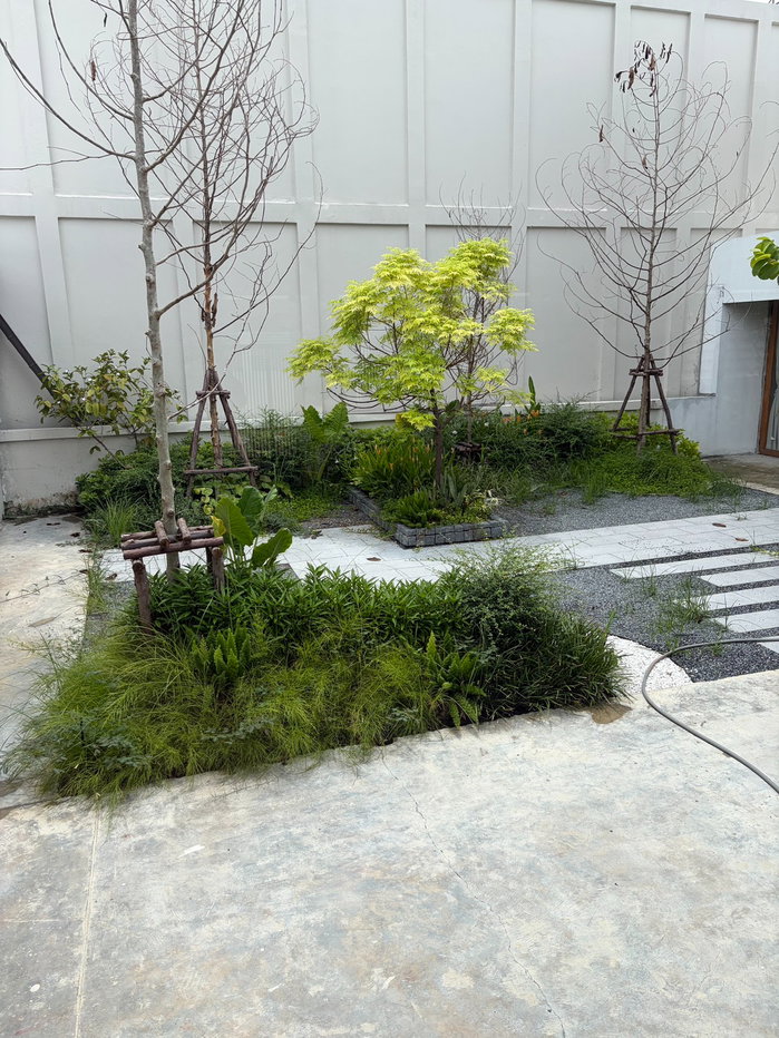 รูป ขาย บ้านเดี่ยว150ตรว. บ้านสวยน่าอยู่ สิ่งแวดล้อมดี ซอยสังคมสงเคราะห์ 12 ทำเลสะดวก พื้นที่ใช้สอยเยอะ - รูปที่ 21/21
