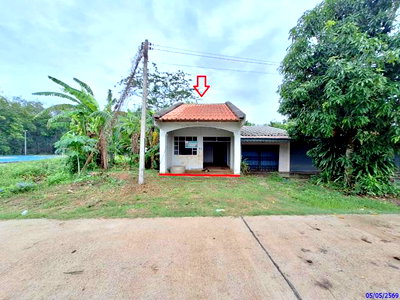 บ้านเดี่ยว ตรัง : บ้านเดี่ยว 27.7 ตร.วา ปะเหลียน ตรัง 649,000