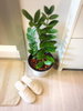 listing thumbnail image 6