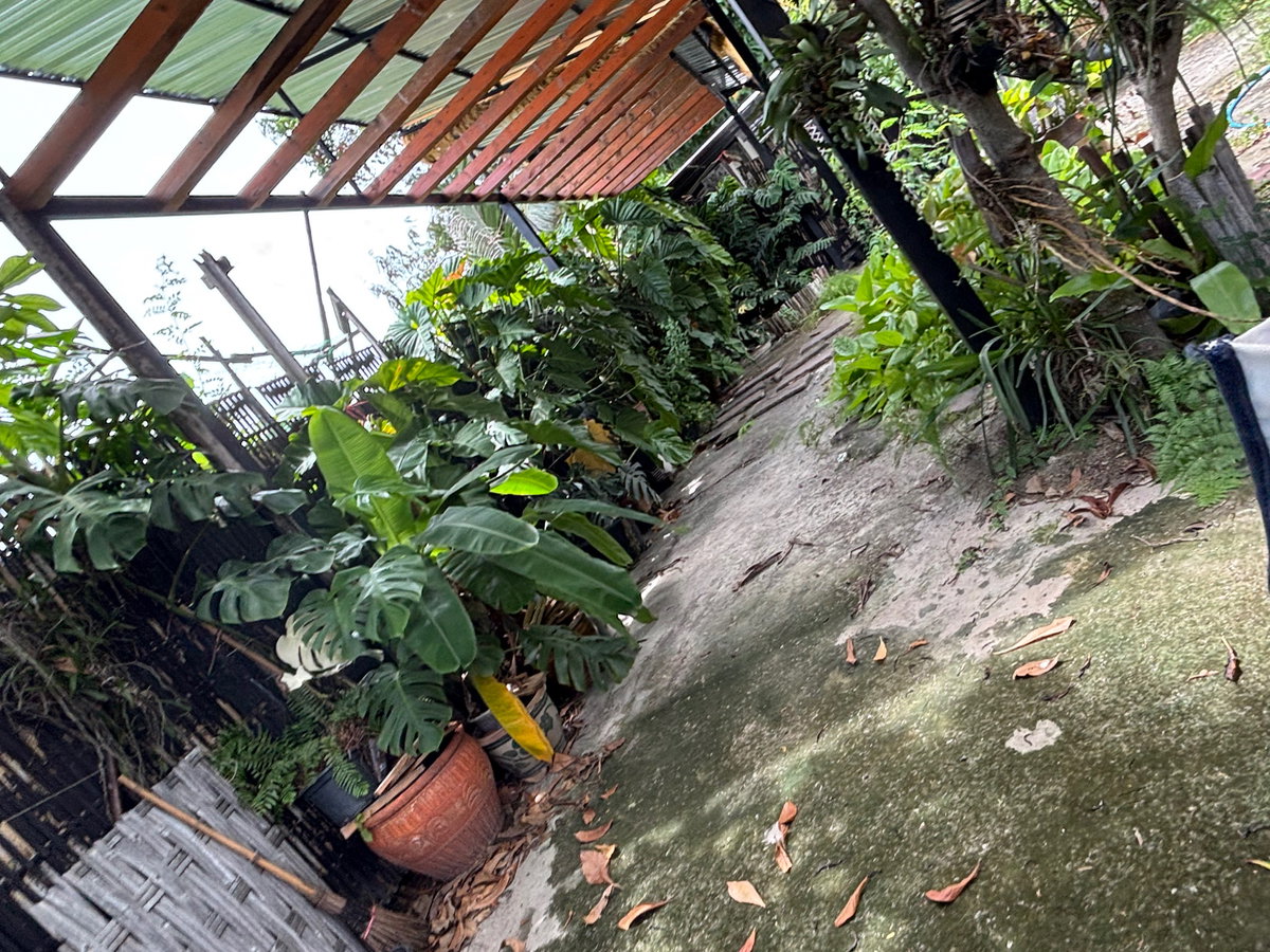 รูป ขายที่ดิน 83 ตร.ว. 15 x 22 เมตร ถ.แกลง-บ้านบึง ต.บ้านบึง อ.บ้านบึง จ.ชลบุรี เข้าซอยโชคดีประมาณ 50 เมตร ใกล้ แมคโคร โลตัส Big C บ้านบึง - รูปที่ 10/10