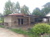 listing thumbnail image 23