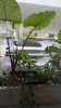 listing thumbnail image 16