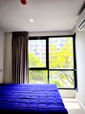 Condos for rent : 🔥Available for immediate move-in🔥 GO#2043  Blue Sukhumvit 105  ✅ Add Line to schedule a viewing 🌸