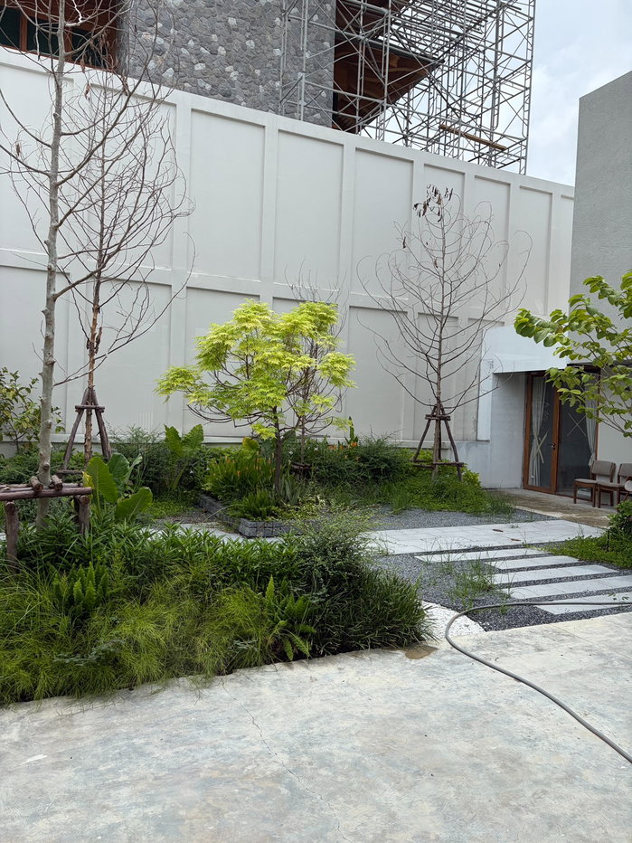 รูป ขาย บ้านเดี่ยว150ตรว. บ้านสวยน่าอยู่ สิ่งแวดล้อมดี ซอยสังคมสงเคราะห์ 12 ทำเลสะดวก พื้นที่ใช้สอยเยอะ - รูปที่ 2/21