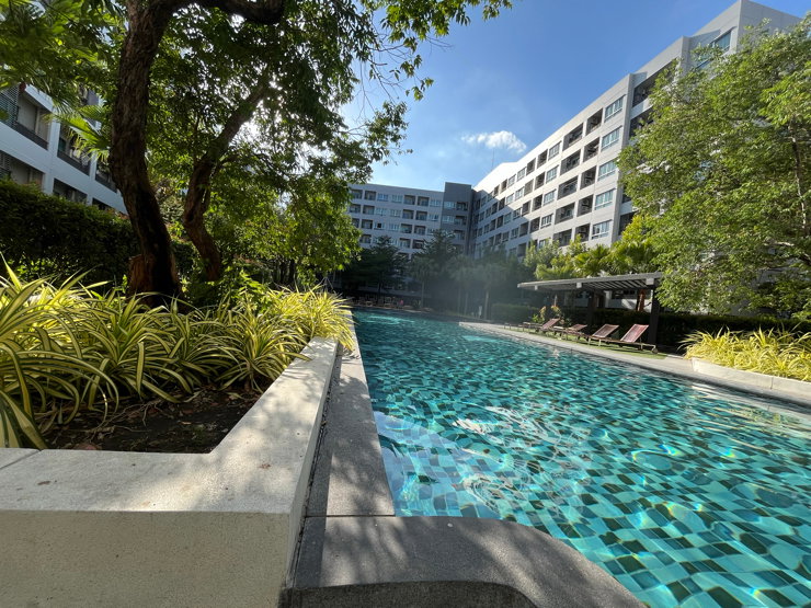 รูป 🏡 ขาย รีโนเวทใหม่ทั้งห้อง‼️ Elio Del Ray สุขุมวิท 64 | 1 นอน 34ตร.ม. | ชั้น 6| ใกล้ BTS ปุณณวิถี |ผ่อน 10,000* - รูปที่ 46/46