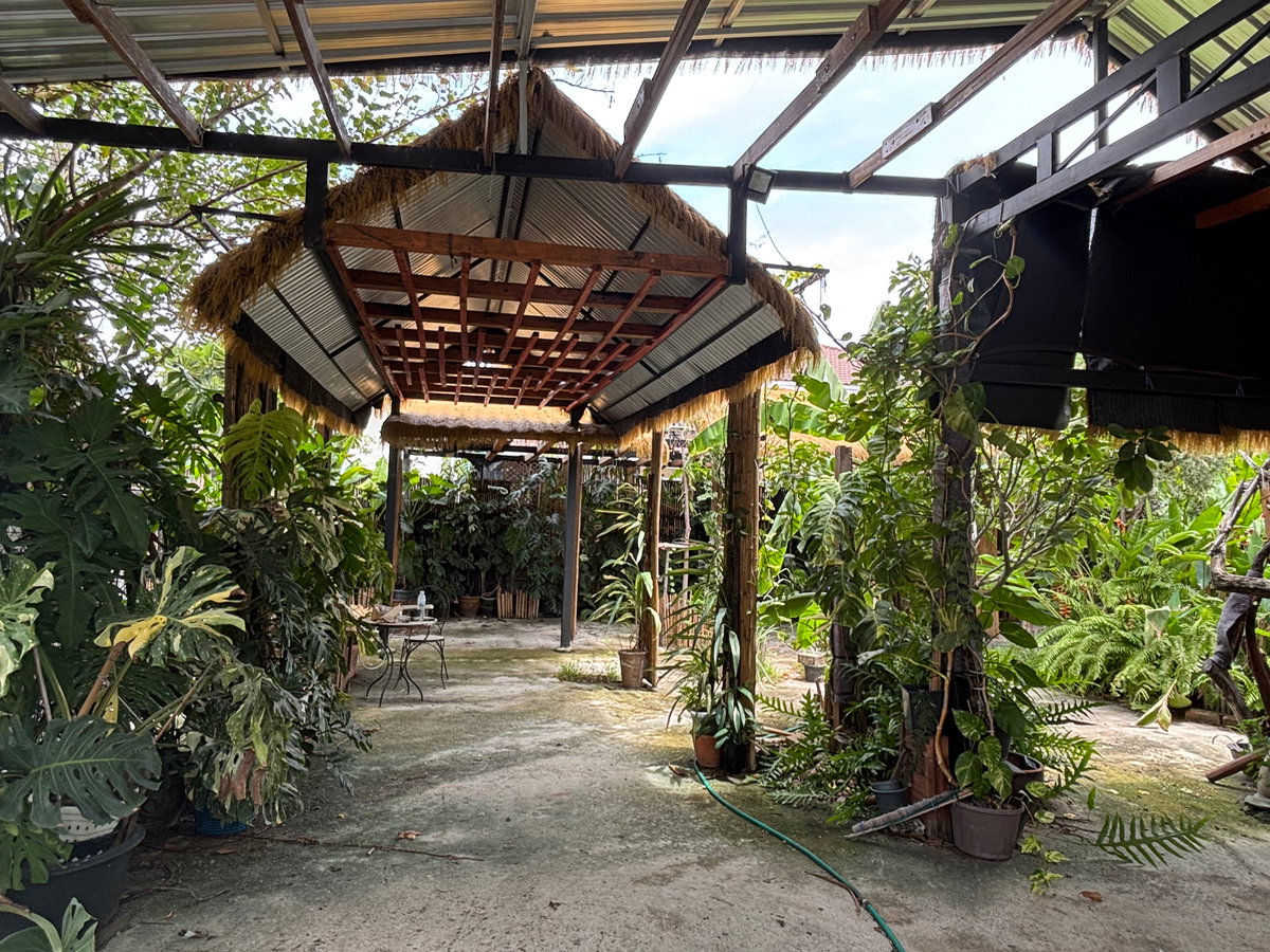 รูป ขายที่ดิน 83 ตร.ว. 15 x 22 เมตร ถ.แกลง-บ้านบึง ต.บ้านบึง อ.บ้านบึง จ.ชลบุรี เข้าซอยโชคดีประมาณ 50 เมตร ใกล้ แมคโคร โลตัส Big C บ้านบึง - รูปที่ 7/10