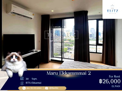 คอนโดให้เช่า : ✨  Brand New Pet-Friendly Environment |  Modern Design - Vibrant City Living ✨