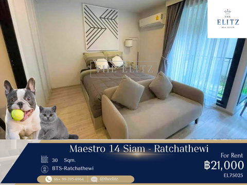 ✨ Pet-Friendly Low-Rise Living in the Heart of the City | Perfect for Animal Lovers | Prime Location Experience ✨