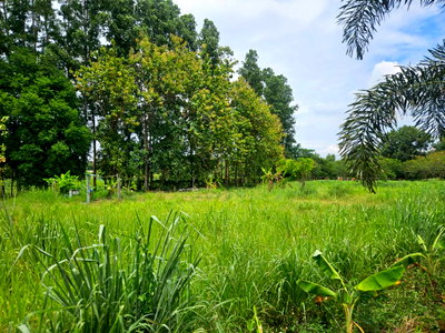 ที่ดิน ศรีราชา ชลบุรี : ขายที่ดินวิวสวย ติดขอบอ่างบางพระ ศรีราชา เหมาะลงทุน