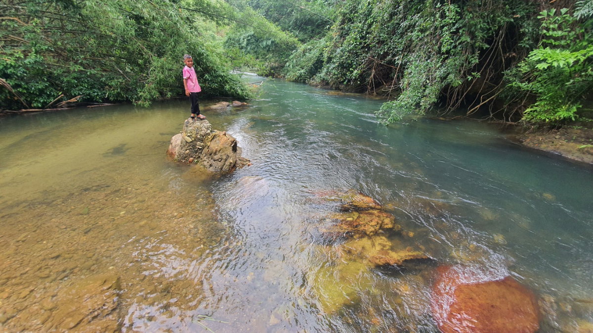 รูป ขายที่ดิน แปลงสวย 100ไร่ ติดลำธานธรรมชาติ 1กิโล - รูปที่ 12/15