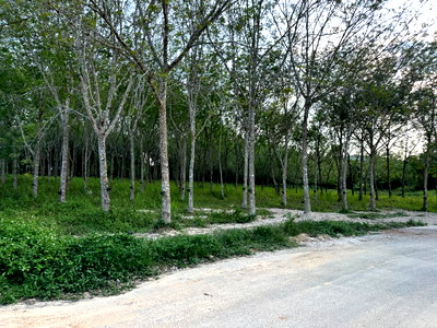 Land for sale : Land for Sale: Area of ​​5 rai  in Na Thai Soi 14, Ao Nang, Krabi – Just 5 Minutes to Ao Nang Beach