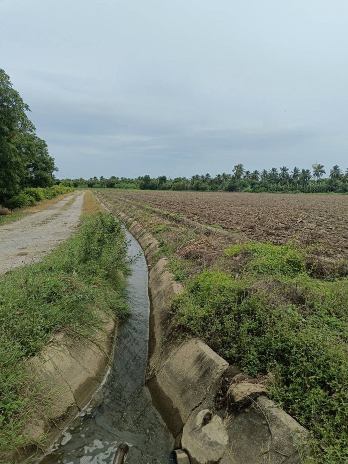 รูป ขาย ที่ดิน 19 ไร่กว่า อู่ทอง สุพรรณบุรี | 450,000 บาท-ไร่ แปลงใหญ่ ราคายังจับต้องได้ มีน้ำ มีถนน 3 ด้าน เหมาะซื้อเก็บหรือทำเกษตร - รูปที่ 3/4