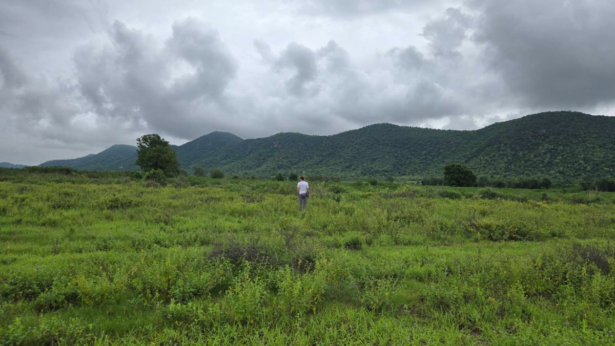 picture Land for Sale in Lao Khwan, Kanchanaburi – 3 Rai 3 Ngan, Corner Plot with Mountain View - 2/6