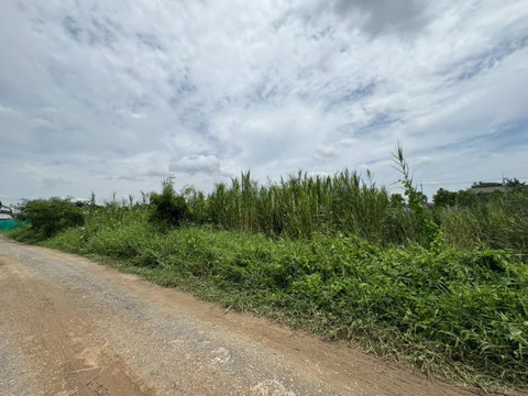 ขายที่ดินเปล่า 90 ตรว. เลียบคลองทวีวัฒนา