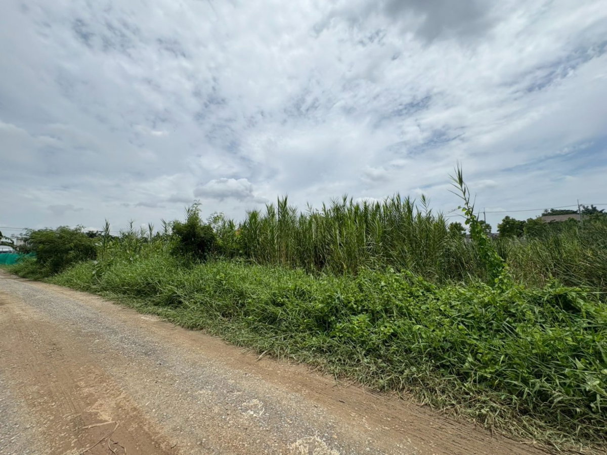 รูป ขายที่ดินเปล่า 90  ตรว. เลียบคลองทวีวัฒนา - รูปที่ 1/6