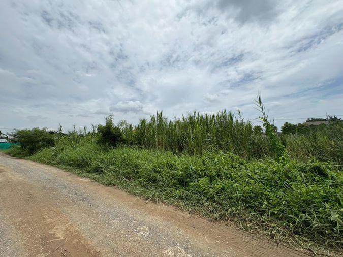 ขายที่ดิน 90 ตร.ว. เขตทวีวัฒนา