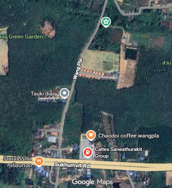 รูป ขายที่ดิน 5 ไร่ มีโฉนด ทำเลดี จังหวัดระยอง ใกล้แหล่งท่องเที่ยวบ้านเพ-เกาะเสม็ด - รูปที่ 13/15