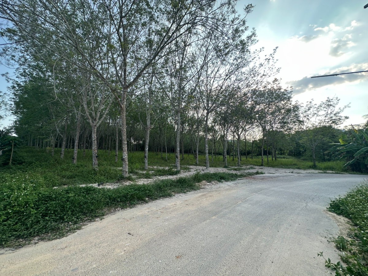 รูป ขายที่ดินนาไทซอย14 อ่าวนางกระบี่ 5 ไร่ ใกล้หาดอ่าวนางเพียง 5 นาที - รูปที่ 2/5