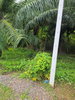 listing thumbnail image 10