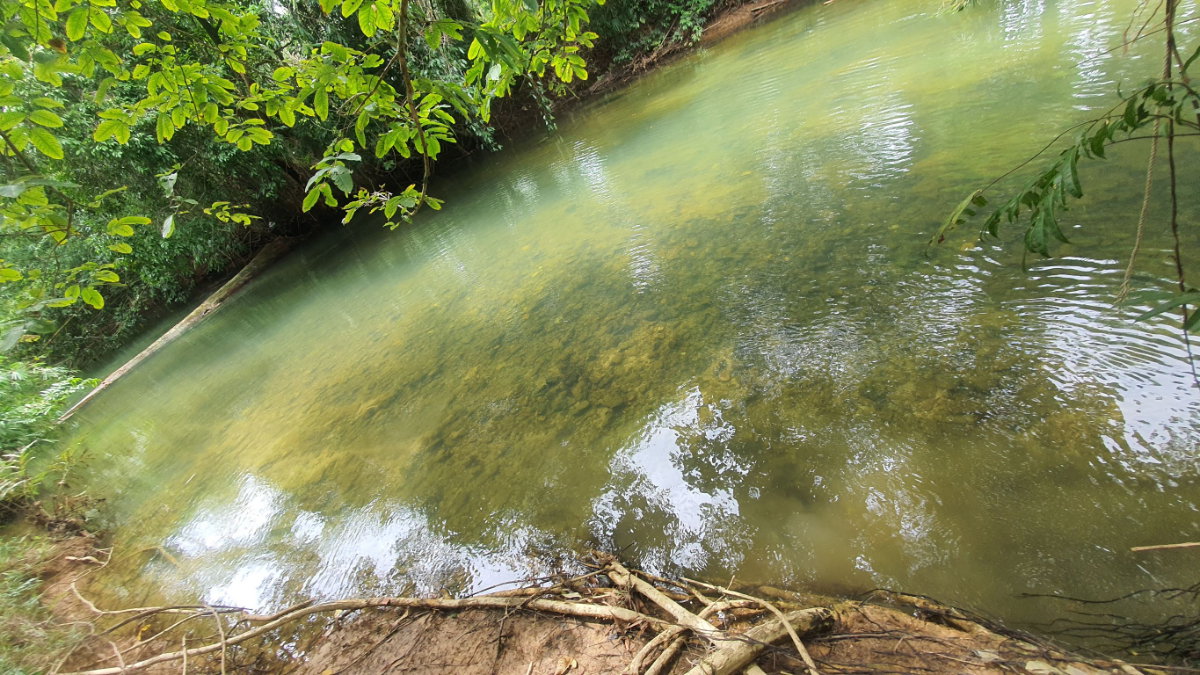 รูป ขายที่ดิน แปลงสวย 100ไร่ ติดลำธานธรรมชาติ 1กิโล - รูปที่ 10/15