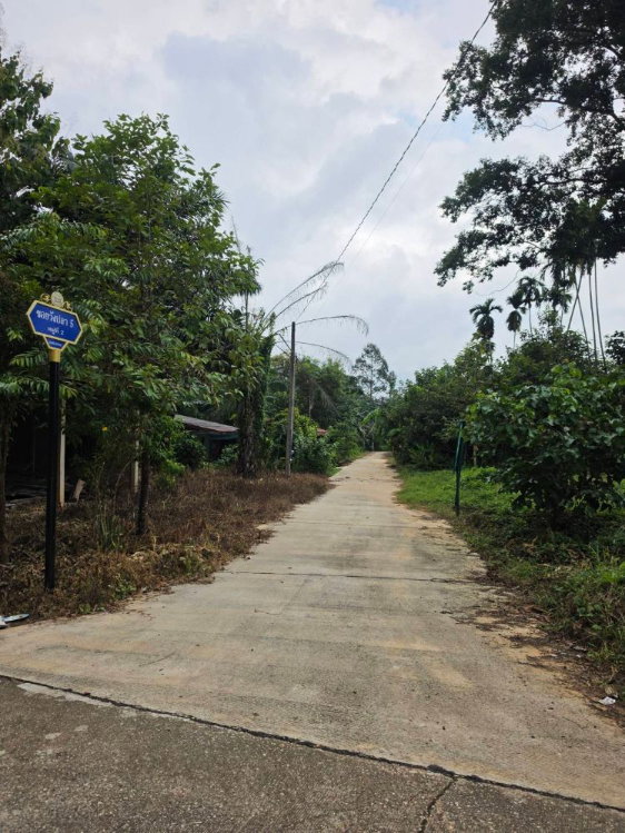 รูป ขายที่ดิน 5 ไร่ มีโฉนด ทำเลดี จังหวัดระยอง ใกล้แหล่งท่องเที่ยวบ้านเพ-เกาะเสม็ด - รูปที่ 8/15