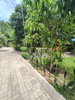 listing thumbnail image 24