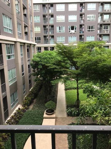 picture DCondo Campus Resort Ratchapruek – Charan13 - 11/11