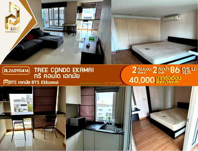 คอนโดให้เช่า : DL26090414 ให้เช่าคอนโด ทรี คอนโด เอกมัย (Tree Condo Ekamai) ใกล้ BTS เอกมัย พร้อมเข้าอยู่ โทรด่วน 0638692663 LineID @952jdxxk