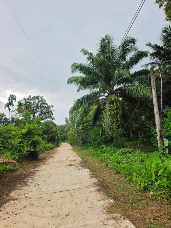 รูป ขายที่ดิน 5 ไร่ มีโฉนด ทำเลดี จังหวัดระยอง ใกล้แหล่งท่องเที่ยวบ้านเพ-เกาะเสม็ด - รูปที่ 12/15