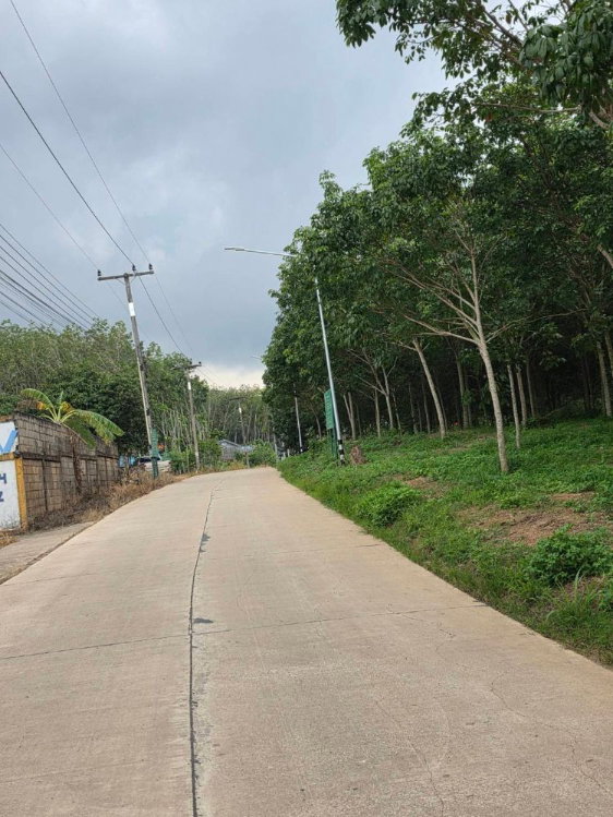 รูป ขายที่ดิน 5 ไร่ มีโฉนด ทำเลดี จังหวัดระยอง ใกล้แหล่งท่องเที่ยวบ้านเพ-เกาะเสม็ด - รูปที่ 4/15