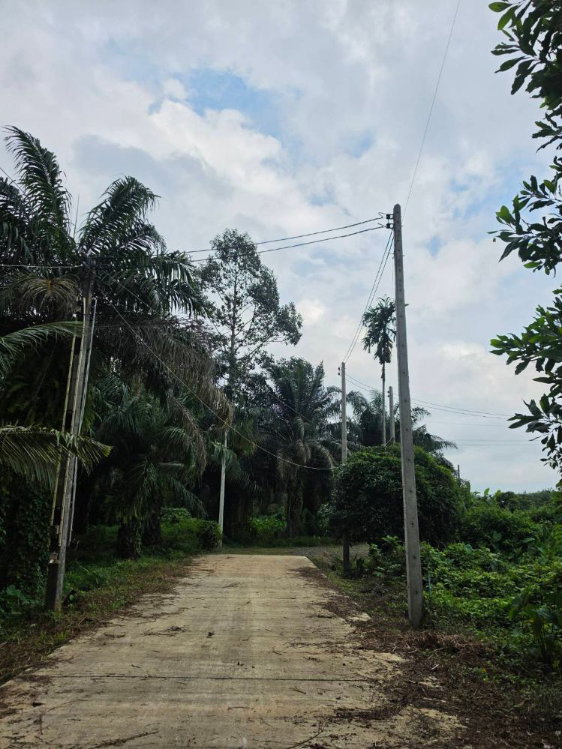 รูป ขายที่ดิน 5 ไร่ มีโฉนด ทำเลดี จังหวัดระยอง ใกล้แหล่งท่องเที่ยวบ้านเพ-เกาะเสม็ด - รูปที่ 9/15