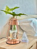 listing thumbnail image 16