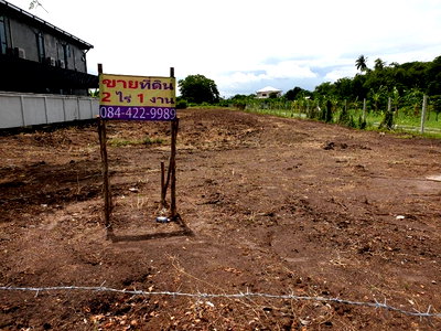 ที่ดิน โลตัส นอร์ธ ราชพฤกษ์ : ขายที่ดิน 2 ไร่ 1 งาน ใกล้แม่น้ำเจ้าพระยาและวัดบางบัวทอง ท่าอิฐ