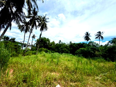 Land for sale Si Racha Chonburi : Beautiful land plot in Si Racha; high-potential location in the Khao Noi community area.