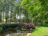 listing thumbnail image 7