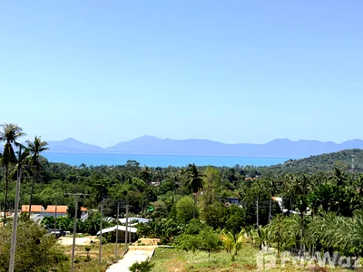 Houses for sale Ko Samui Surat Thani : 3 Bedroom Villa for sale at SD Sea View Villas Ban Tai  6713364