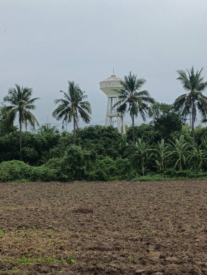 รูป ขาย ที่ดิน 19 ไร่กว่า อู่ทอง สุพรรณบุรี | 450,000 บาท-ไร่ แปลงใหญ่ ราคายังจับต้องได้ มีน้ำ มีถนน 3 ด้าน เหมาะซื้อเก็บหรือทำเกษตร - รูปที่ 4/4