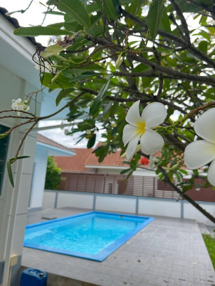 picture 🏡 Spacious Pool Villa for Rent – Royal Ville Project, Hang Dong ✨ - 3/17